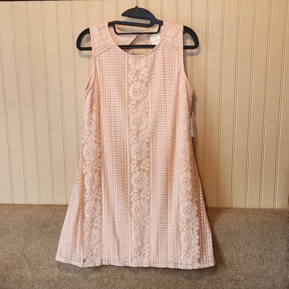 Altar'd State | Dresses | Nwt Altard State Dress Blush Size Large Lace |  Poshmark